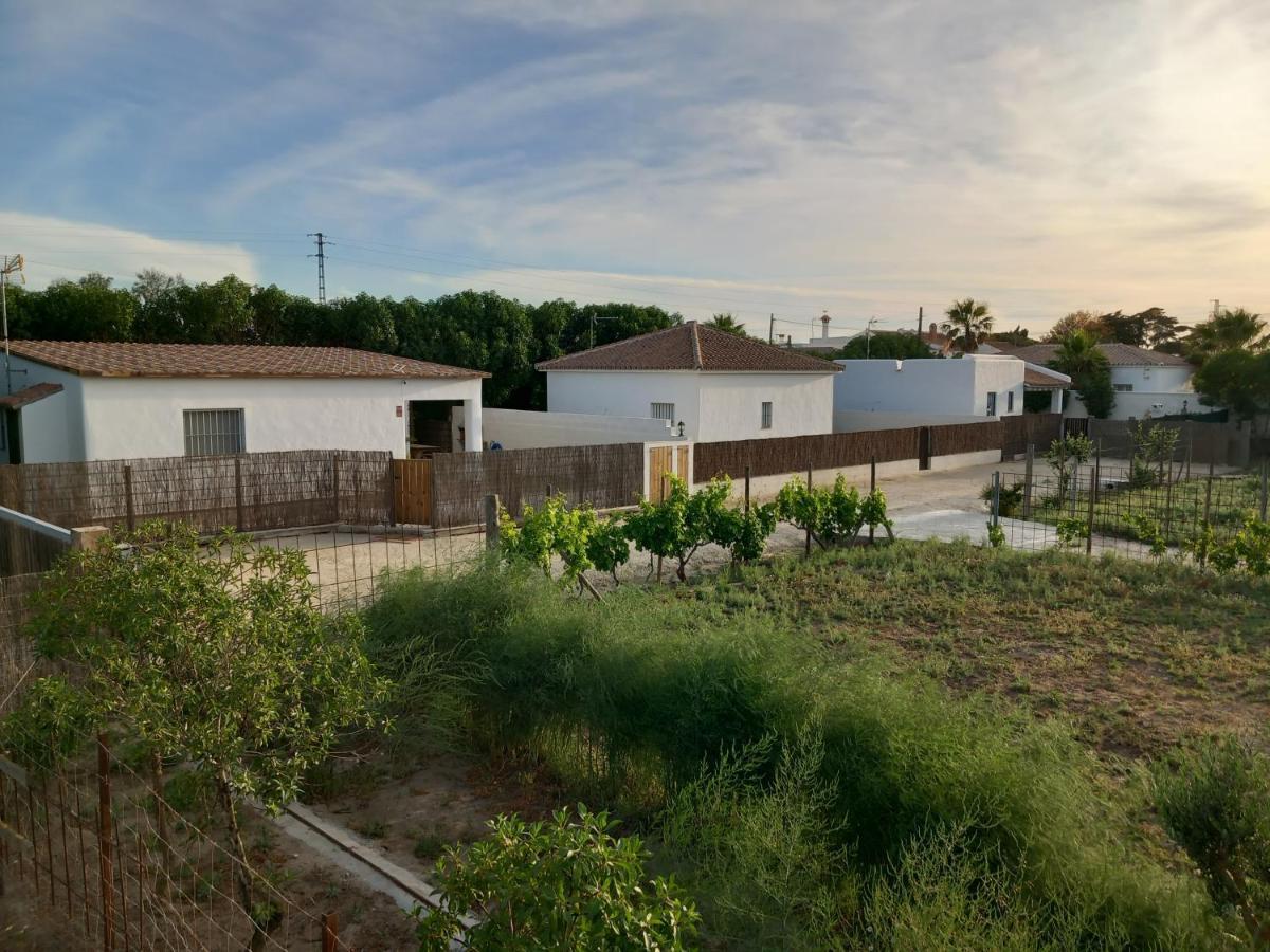 סהורה Apartamentos Cala Isabel מראה חיצוני תמונה